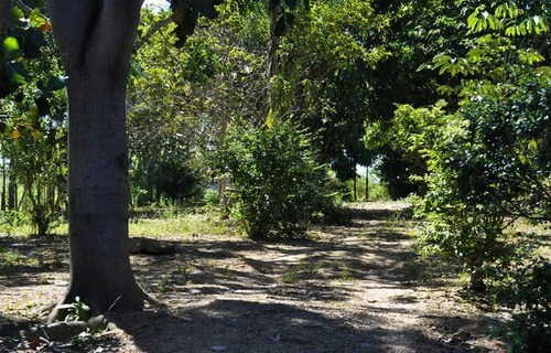 Rancho Coite | Abadiânia - alugarpousadas