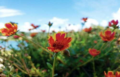 Rancho Coite | Abadiânia - alugarpousadas