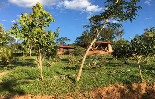 Rancho Ecologico Oasis de Luz | Abadiânia - alugarpousadas