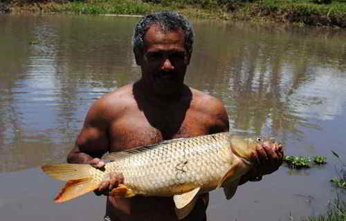 Pousada Bezerra - Nazaré Paulista - alugarpousadas