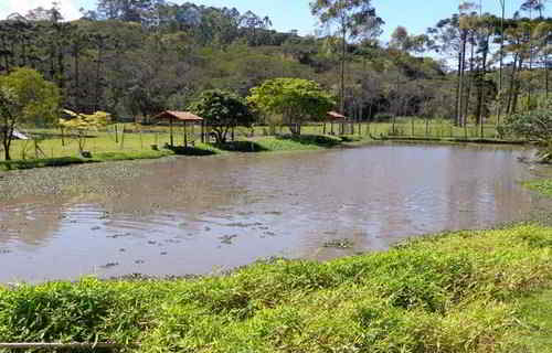 Pousada Bezerra - Nazaré Paulista - alugarpousadas